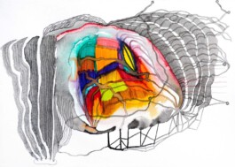 366 drawings by Sophia Tabatadze