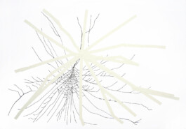 366 drawings by Sophia Tabatadze