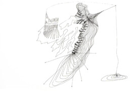 366 drawings by Sophia Tabatadze