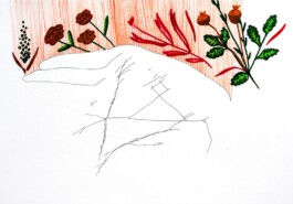 366 drawings by Sophia Tabatadze