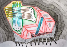 366 drawings by Sophia Tabatadze