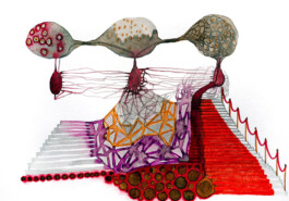 366 drawings by Sophia Tabatadze