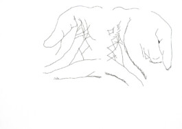 366 drawings by Sophia Tabatadze