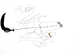 366 drawings by Sophia Tabatadze