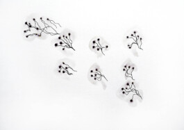 366 drawings by Sophia Tabatadze