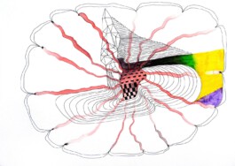 366 drawings by Sophia Tabatadze