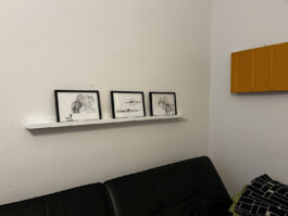 366 drawings by Sophia Tabatadze