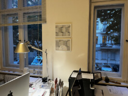 366 drawings by Sophia Tabatadze